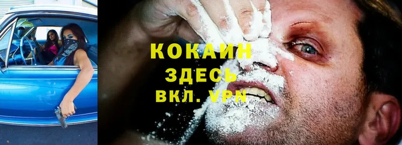 наркотики  Николаевск-на-Амуре  гидра зеркало  Cocaine 99% 